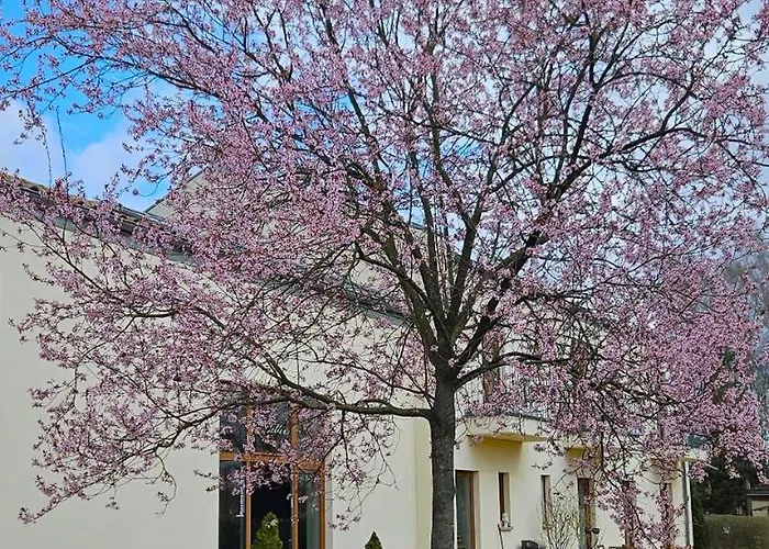 Kreativhotel Cellino
